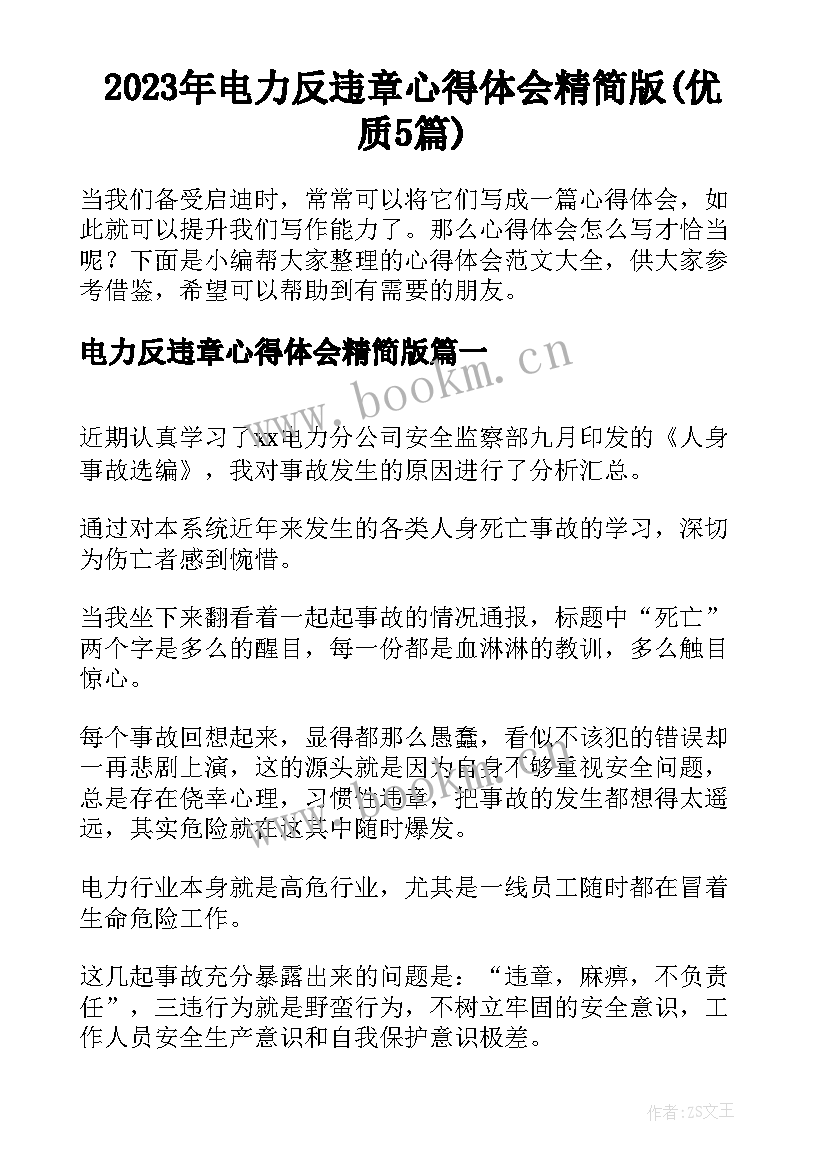 2023年电力反违章心得体会精简版(优质5篇)