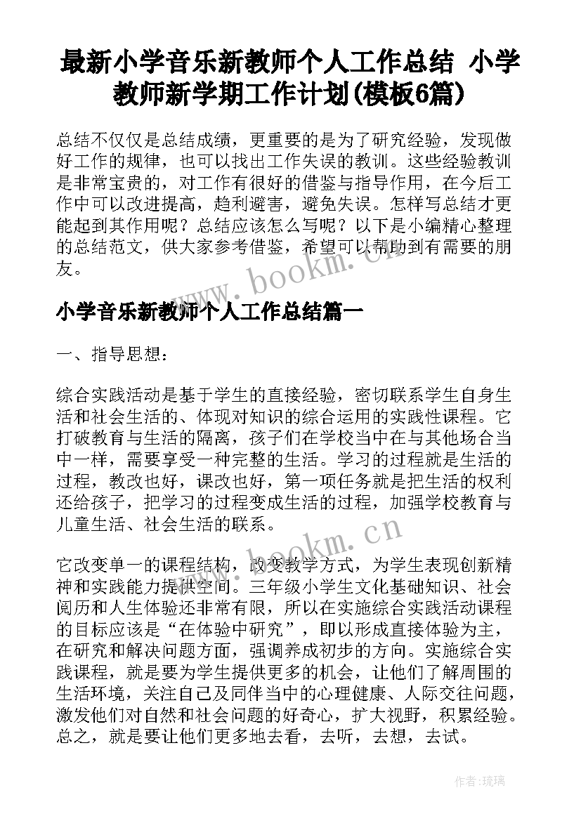 最新小学音乐新教师个人工作总结 小学教师新学期工作计划(模板6篇)