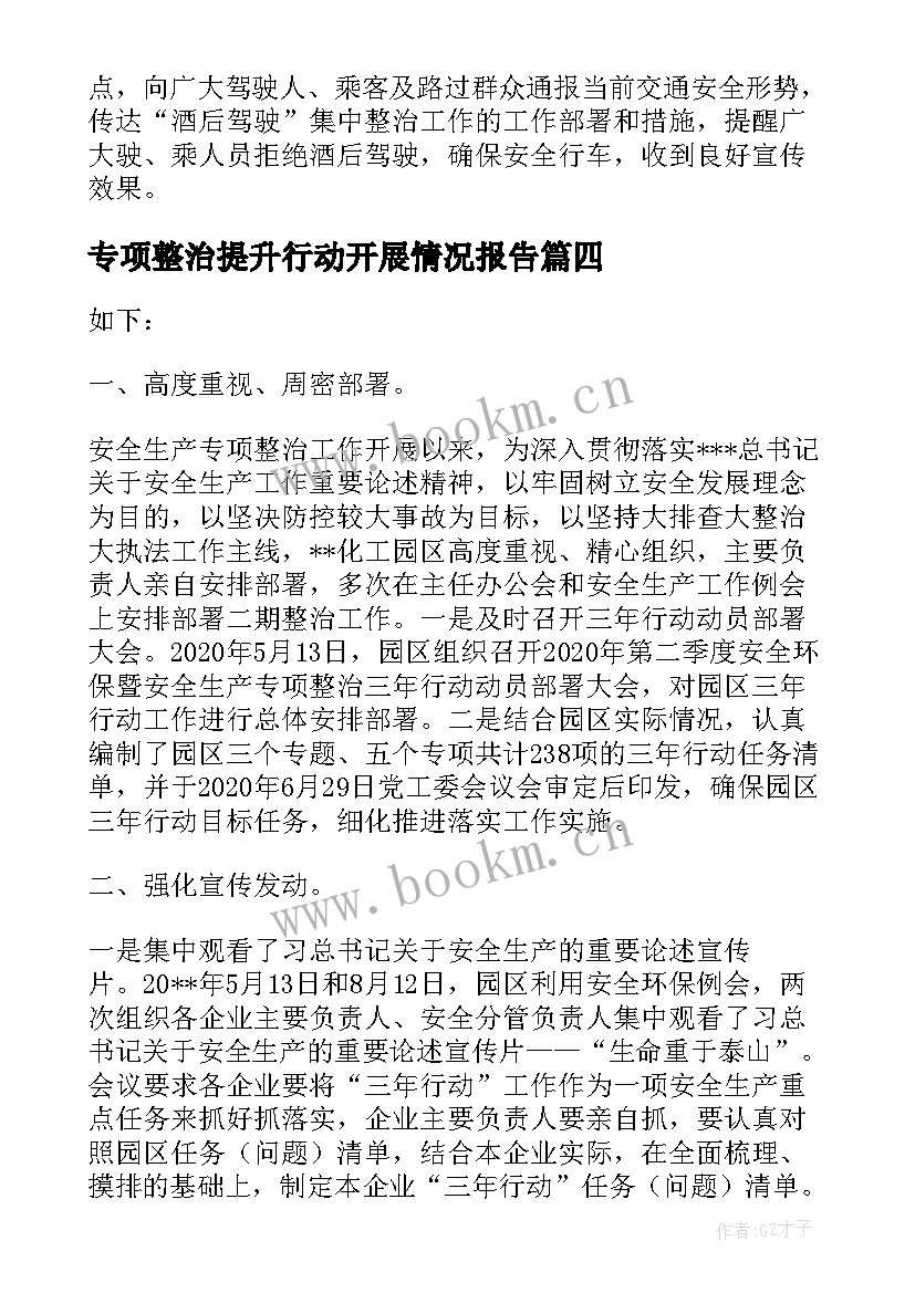 专项整治提升行动开展情况报告(汇总5篇)