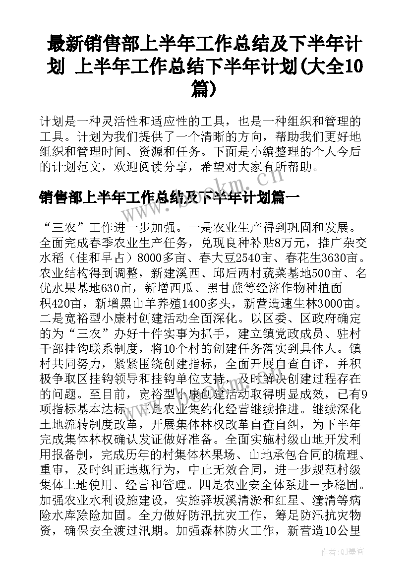 最新销售部上半年工作总结及下半年计划 上半年工作总结下半年计划(大全10篇)