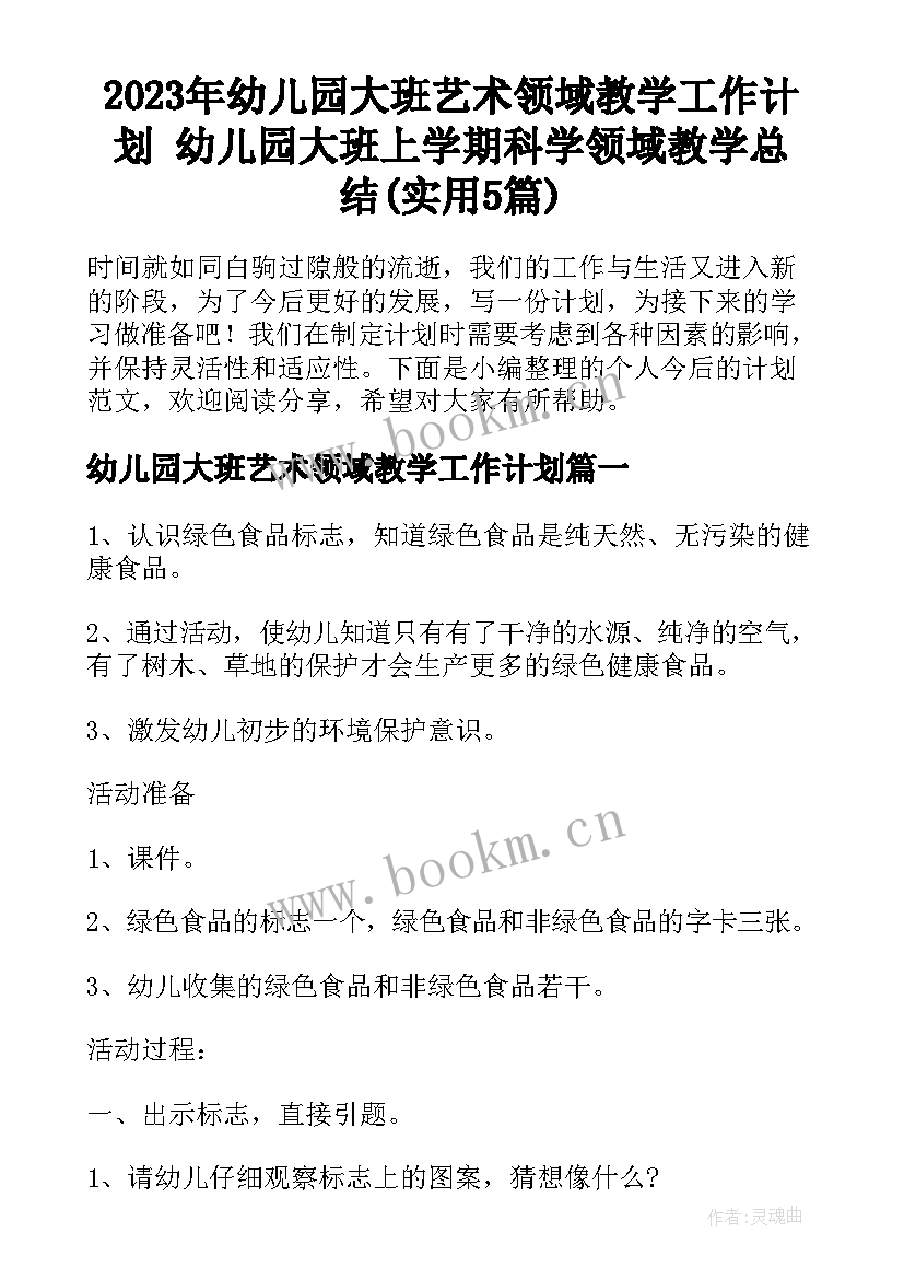 2023年幼儿园大班艺术领域教学工作计划 幼儿园大班上学期科学领域教学总结(实用5篇)