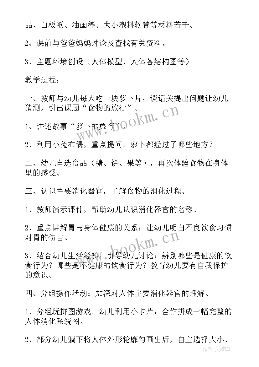 2023年幼儿园大班艺术领域教学工作计划 幼儿园大班上学期科学领域教学总结(实用5篇)