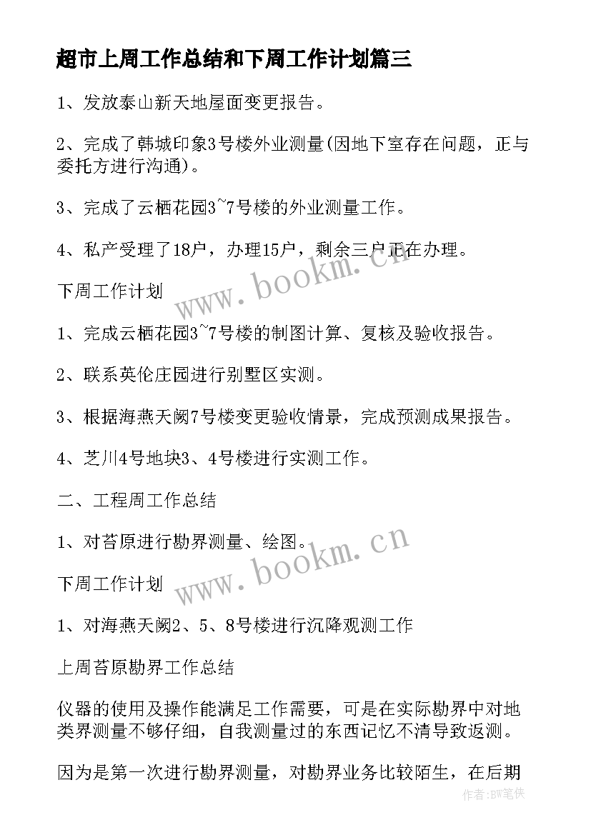 最新超市上周工作总结和下周工作计划 上周工作总结下周工作计划(精选5篇)