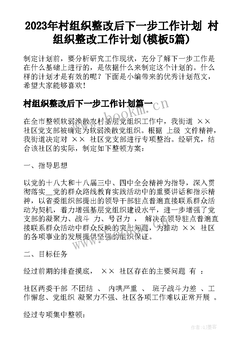 2023年村组织整改后下一步工作计划 村组织整改工作计划(模板5篇)