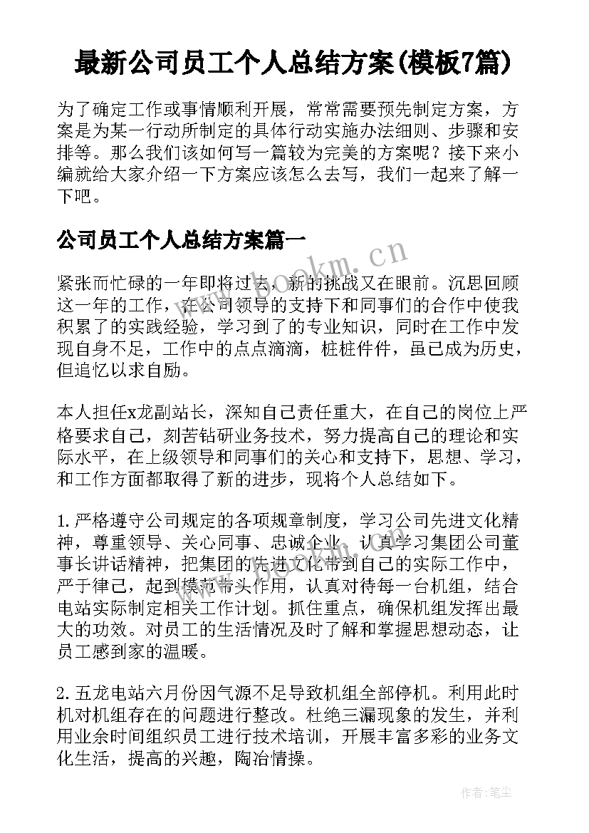 最新公司员工个人总结方案(模板7篇)