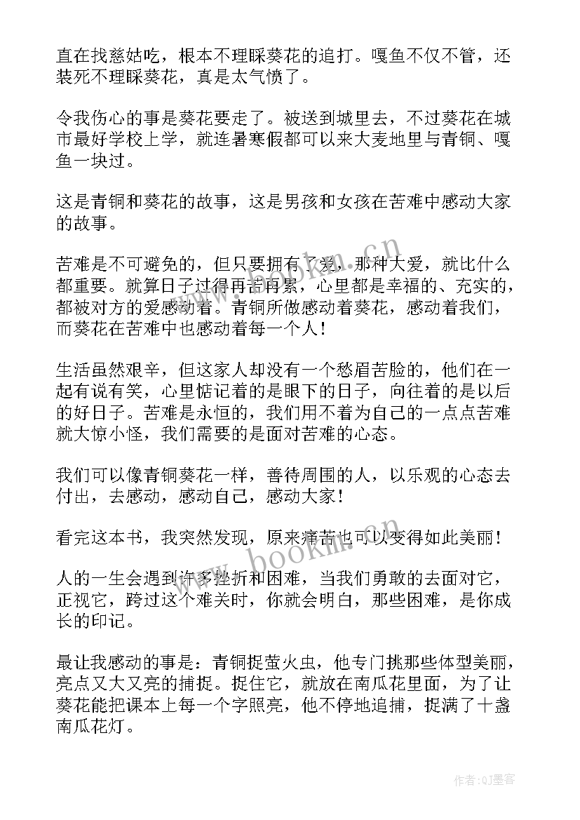 青铜葵花的读后感六百字 青铜葵花四年级读后感(实用5篇)