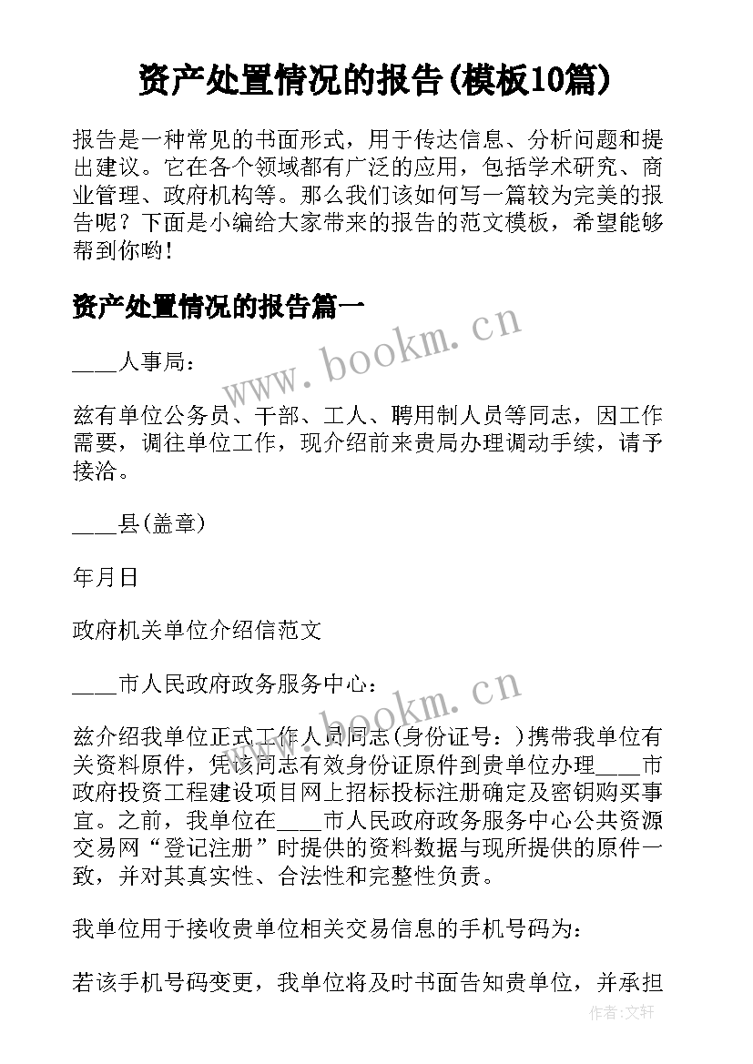 资产处置情况的报告(模板10篇)