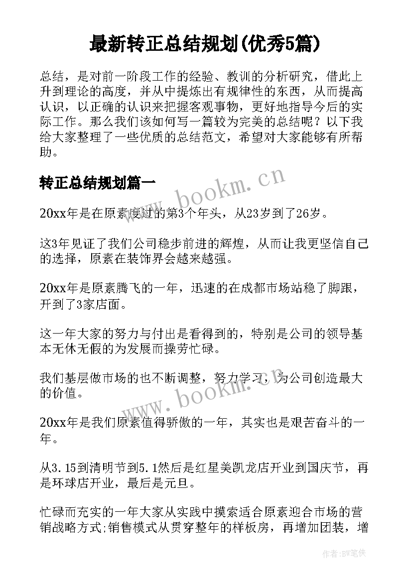 最新转正总结规划(优秀5篇)