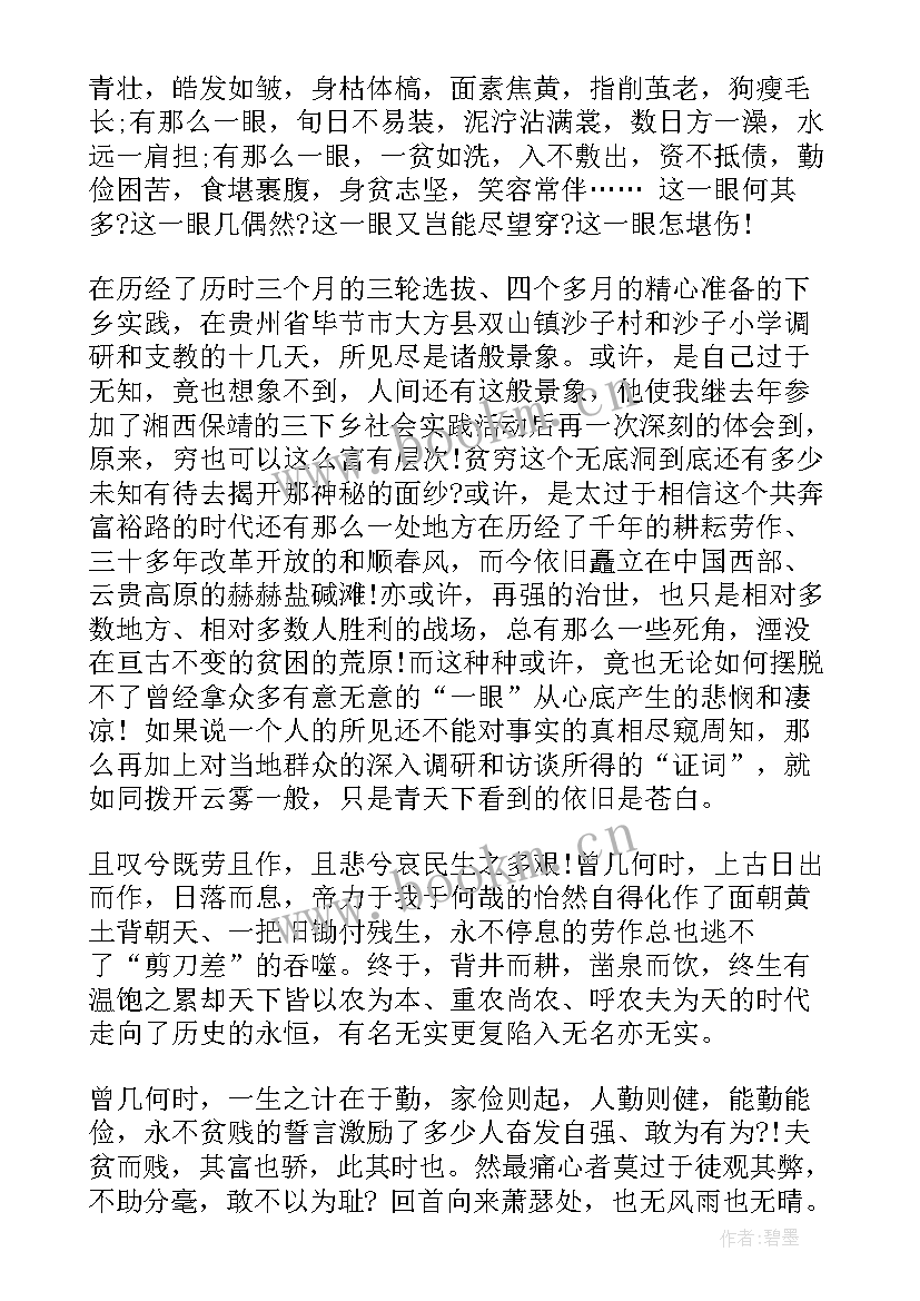 2023年大学生三下乡的社会实践报告(大全10篇)