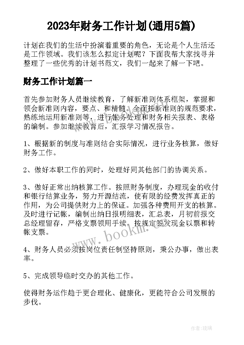 2023年财务工作计划(通用5篇)