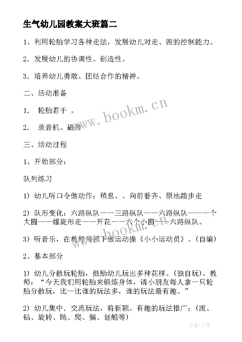 2023年生气幼儿园教案大班(模板5篇)