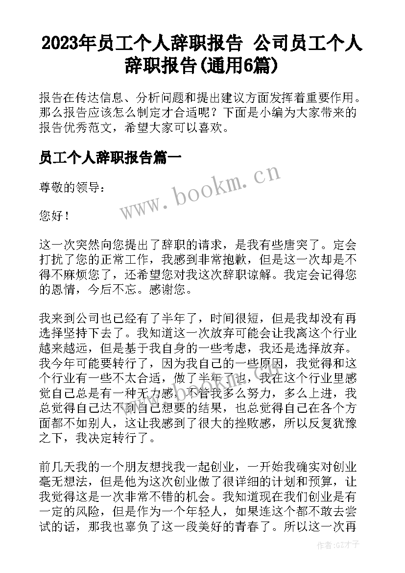 2023年员工个人辞职报告 公司员工个人辞职报告(通用6篇)