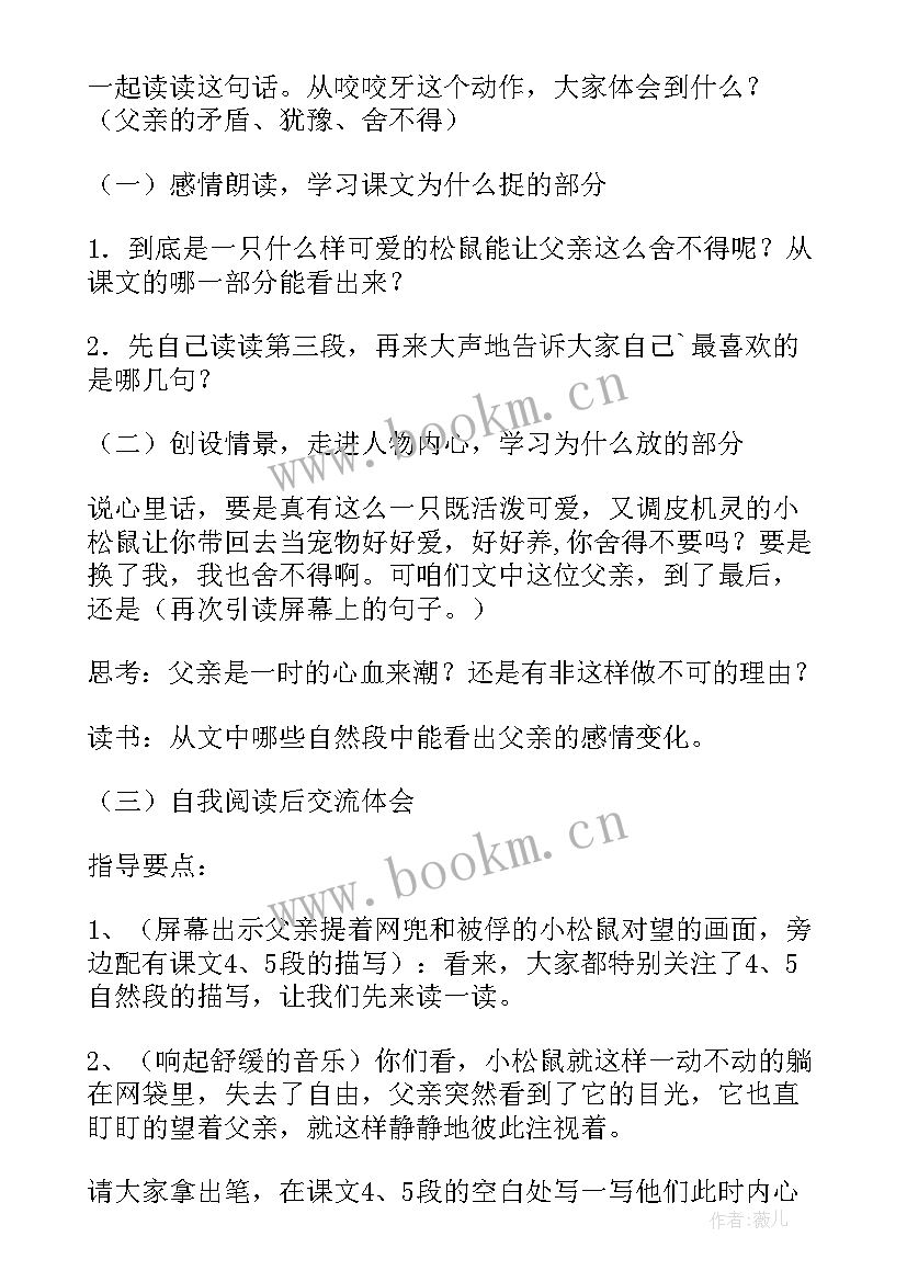 最新松鼠教案设计教案部编版 松鼠教案设计(优秀5篇)