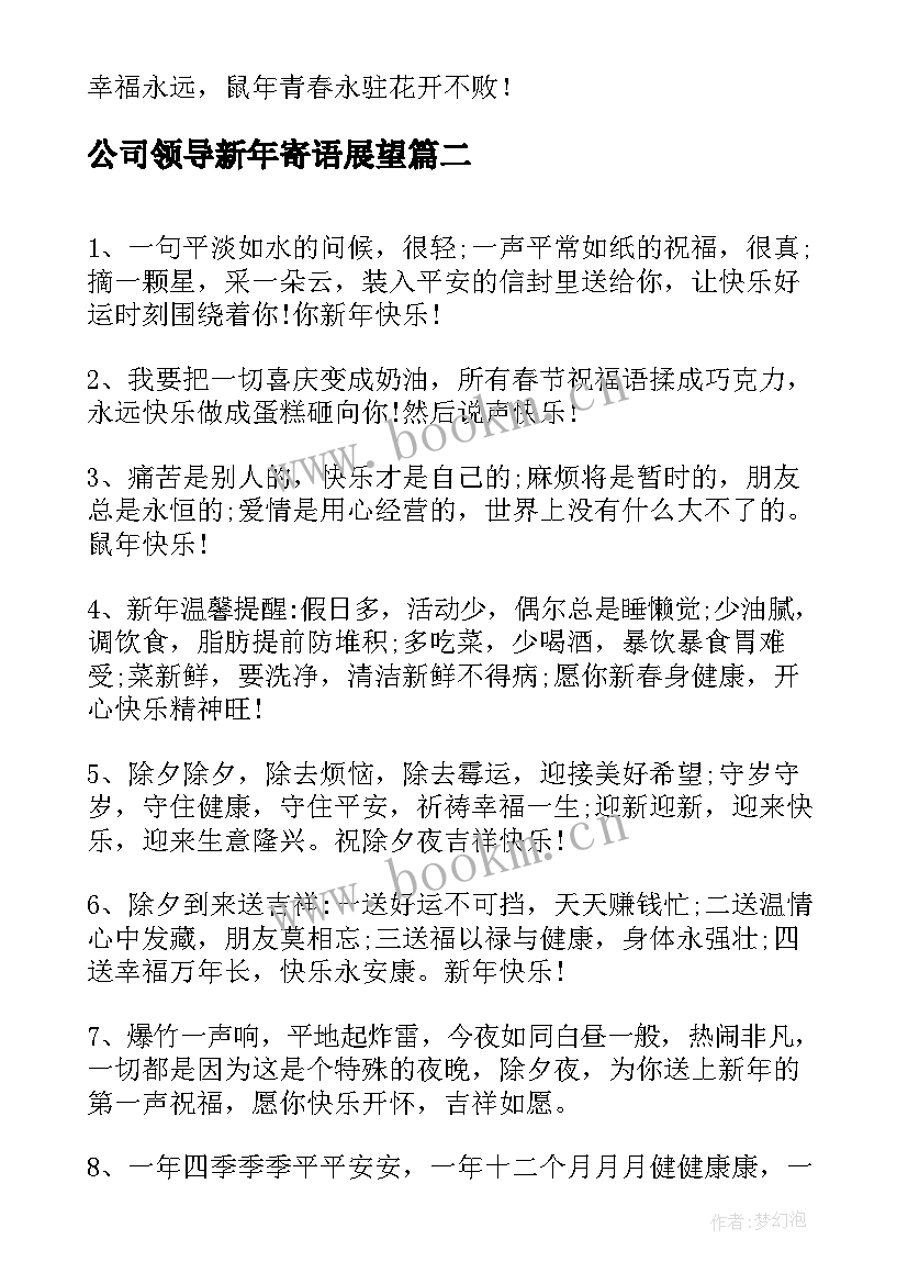 公司领导新年寄语展望(大全5篇)