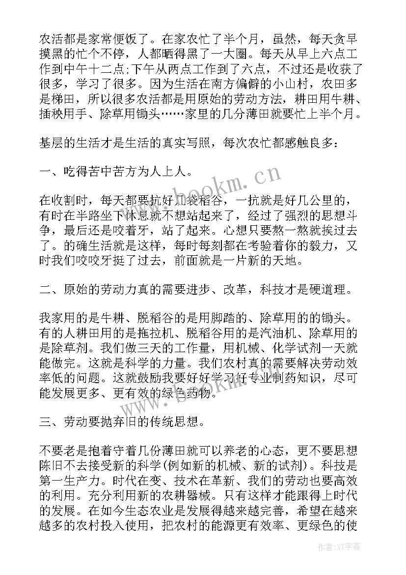 最新暑期社会实践报告经典篇段(模板5篇)