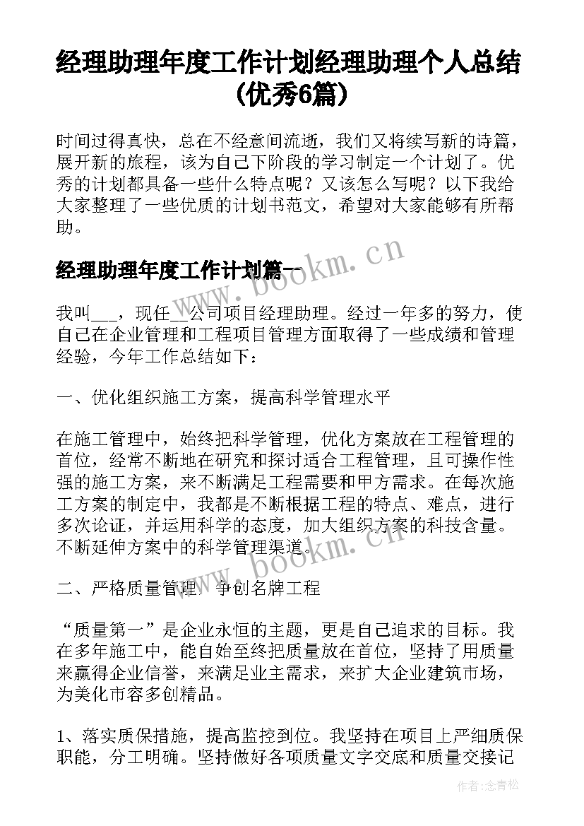 经理助理年度工作计划 经理助理个人总结(优秀6篇)