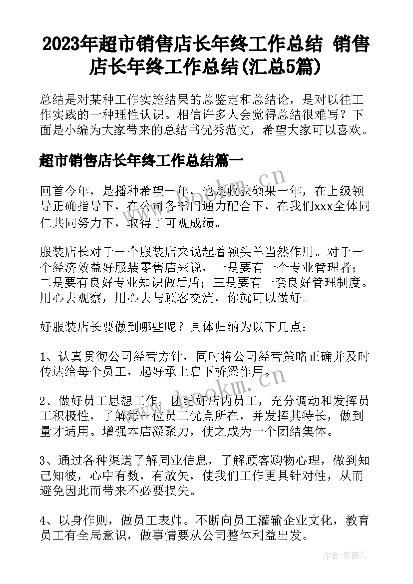 2023年超市销售店长年终工作总结 销售店长年终工作总结(汇总5篇)