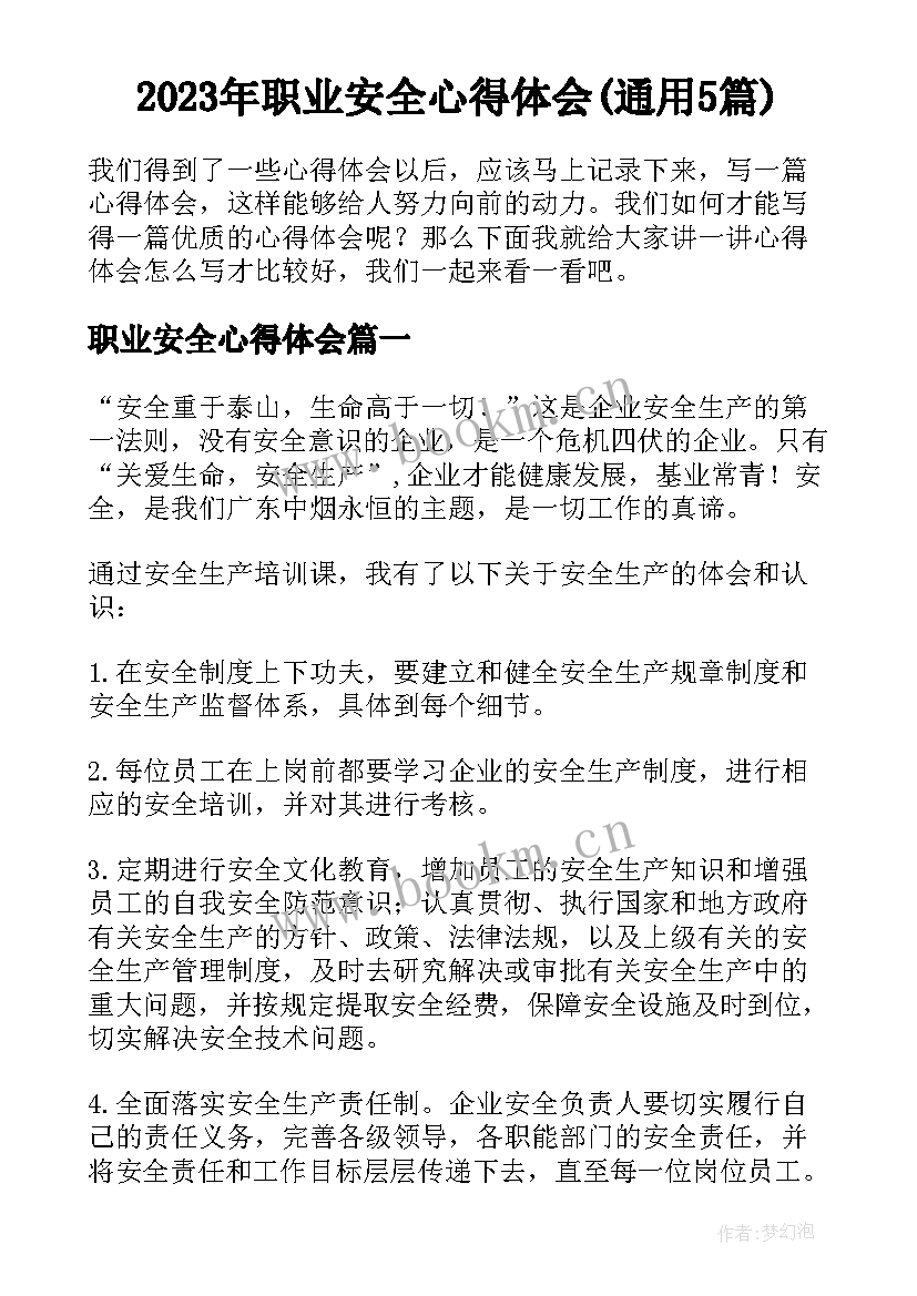 2023年职业安全心得体会(通用5篇)