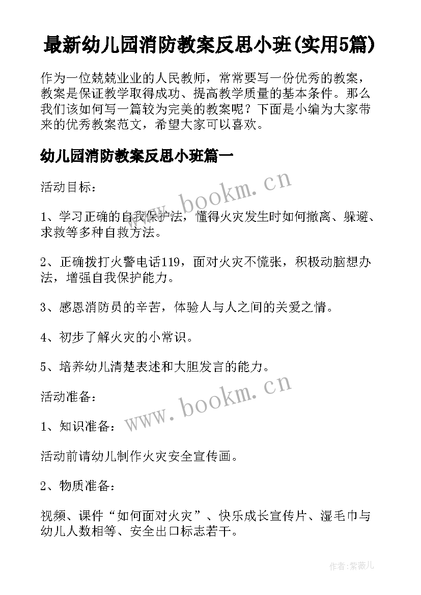 最新幼儿园消防教案反思小班(实用5篇)