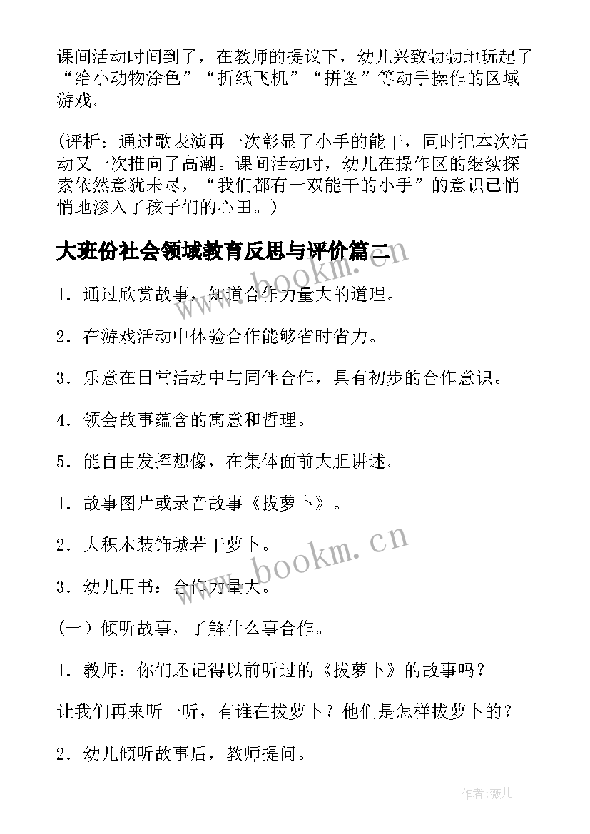 最新大班份社会领域教育反思与评价 大班社会领域活动方案社会教育方案(优质5篇)