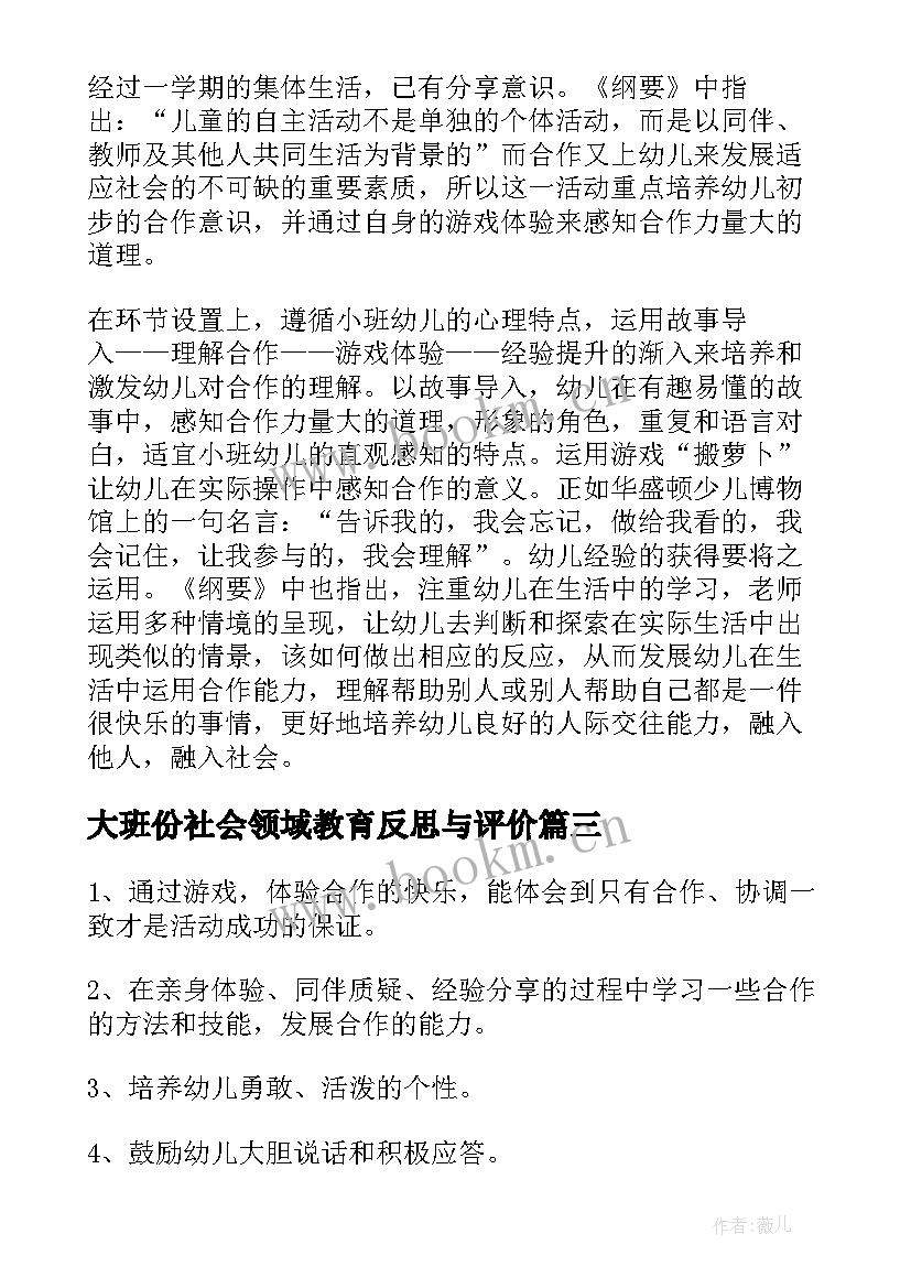 最新大班份社会领域教育反思与评价 大班社会领域活动方案社会教育方案(优质5篇)