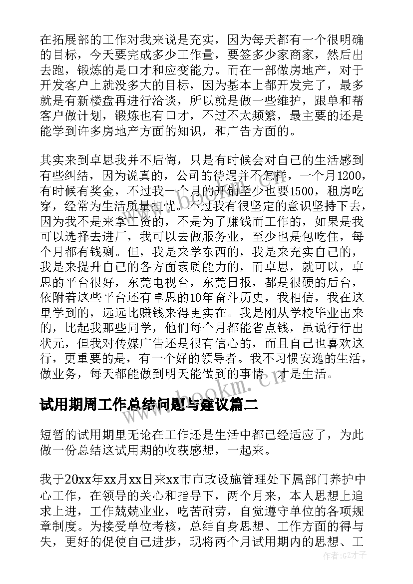 2023年试用期周工作总结问题与建议 试用期工作内容总结(优质5篇)