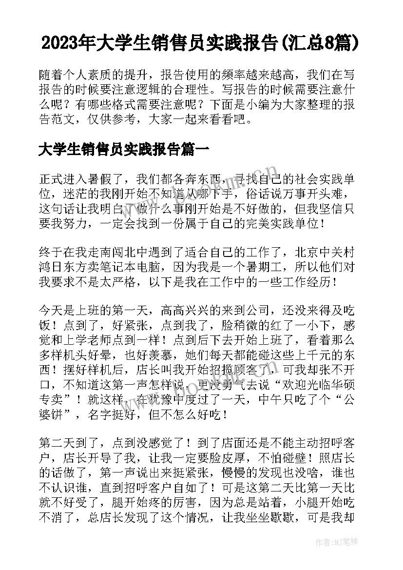 2023年大学生销售员实践报告(汇总8篇)