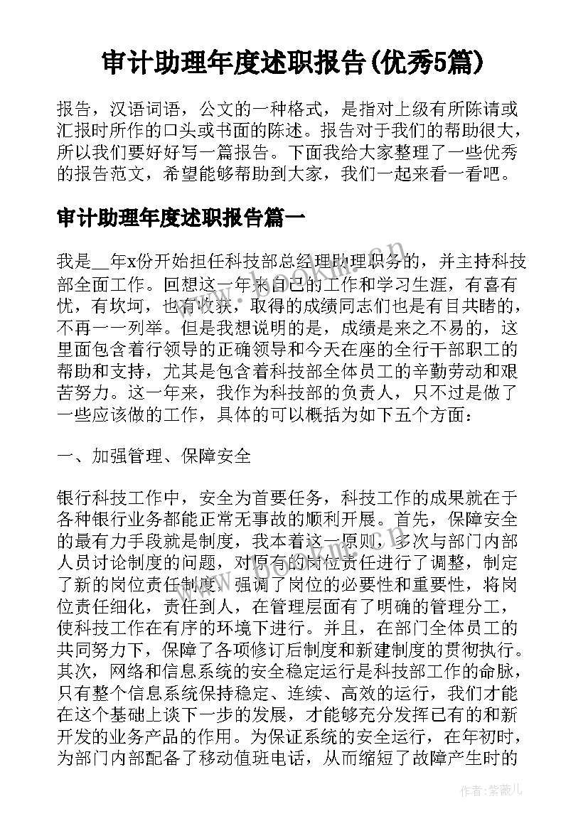 审计助理年度述职报告(优秀5篇)