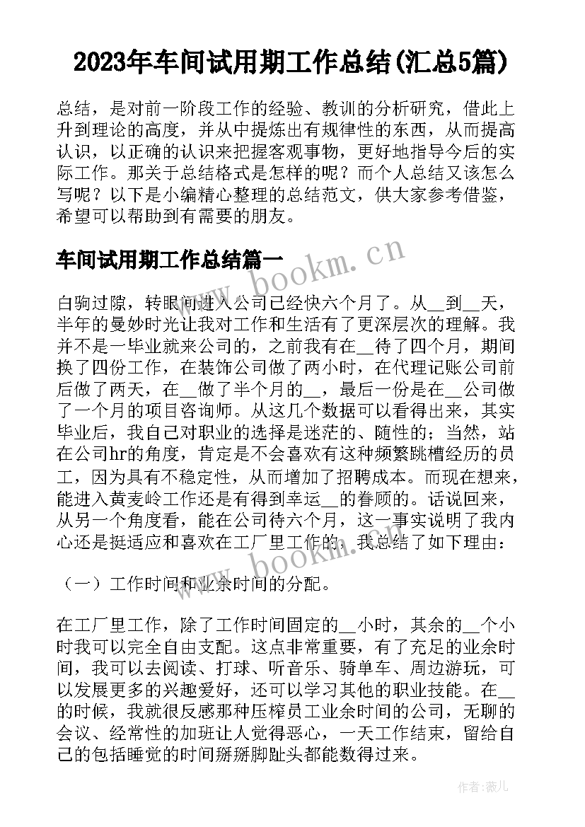 2023年车间试用期工作总结(汇总5篇)