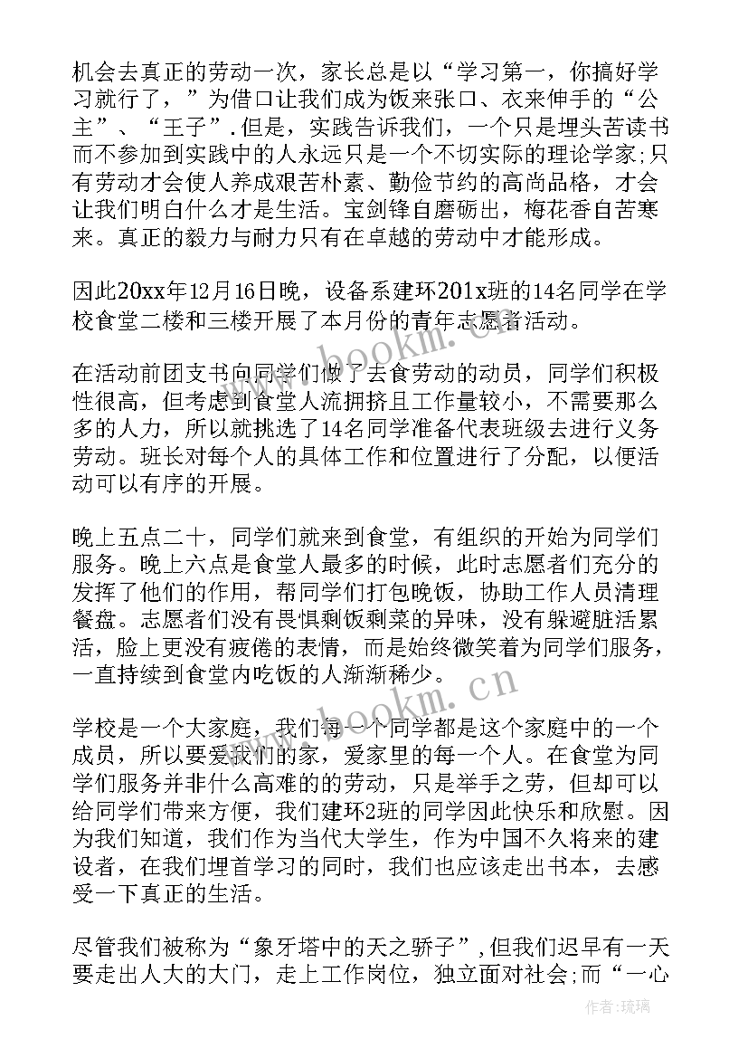 2023年青年志愿者活动个人总结(大全7篇)