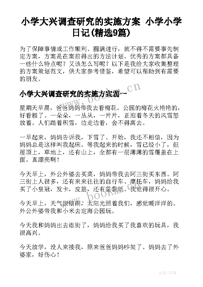 小学大兴调查研究的实施方案 小学小学日记(精选9篇)