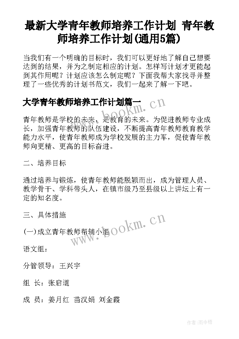 最新大学青年教师培养工作计划 青年教师培养工作计划(通用5篇)