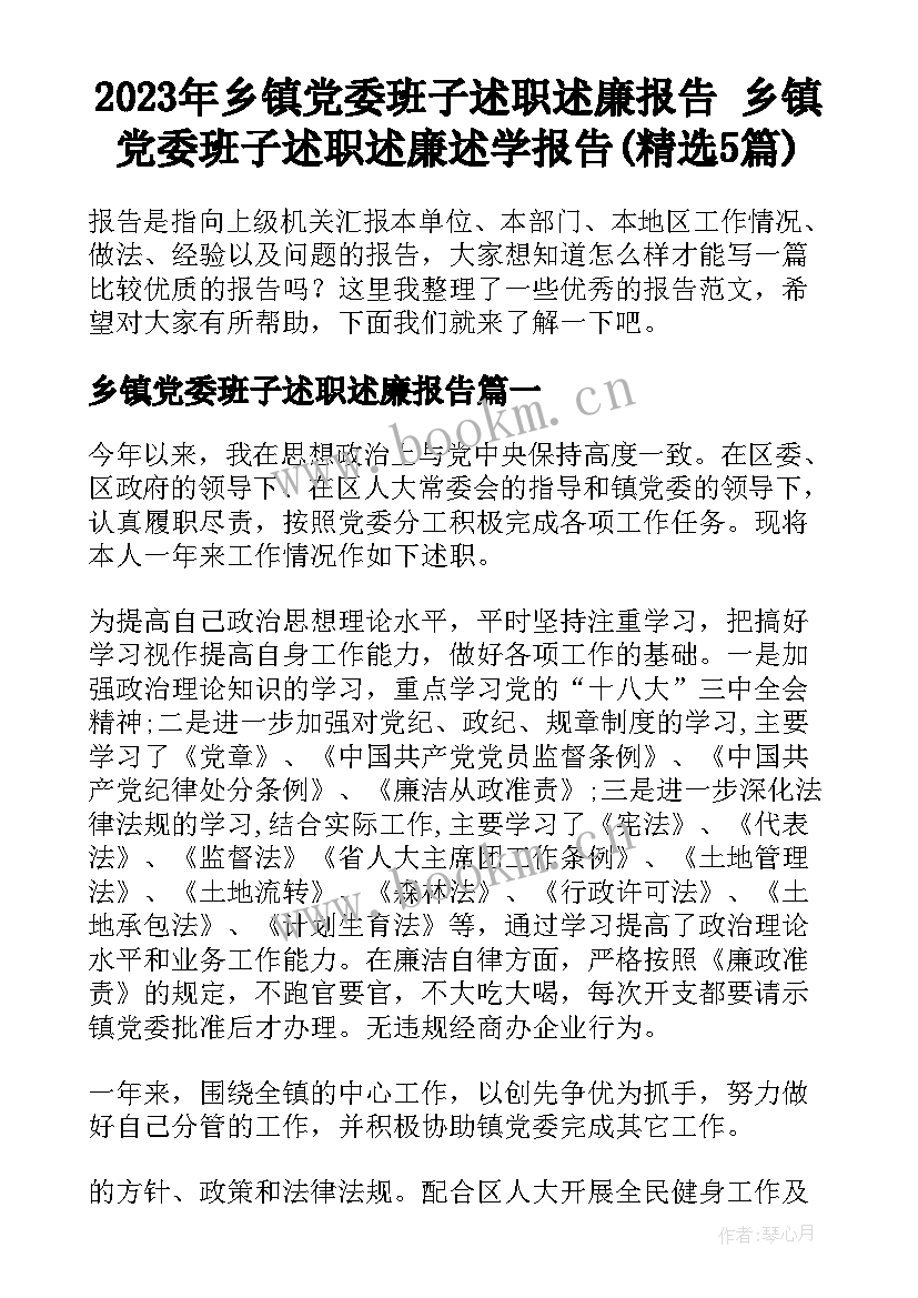 2023年乡镇党委班子述职述廉报告 乡镇党委班子述职述廉述学报告(精选5篇)