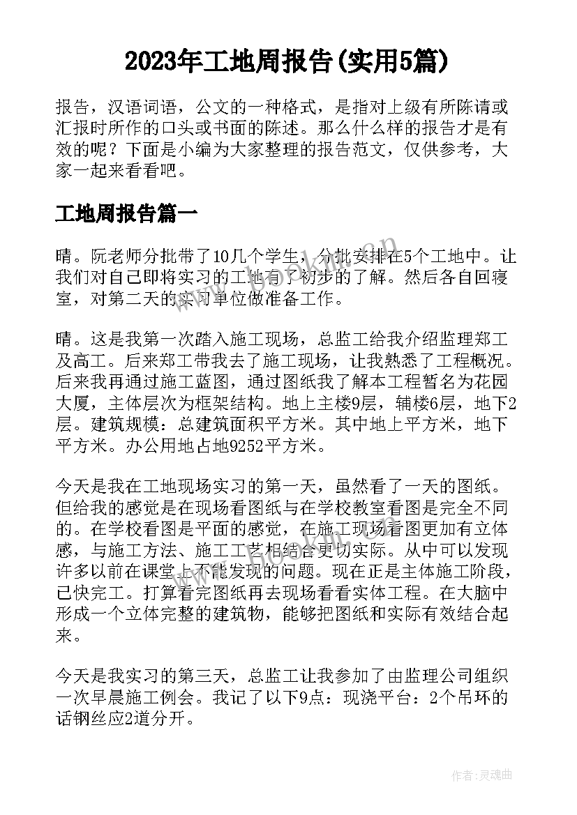 2023年工地周报告(实用5篇)