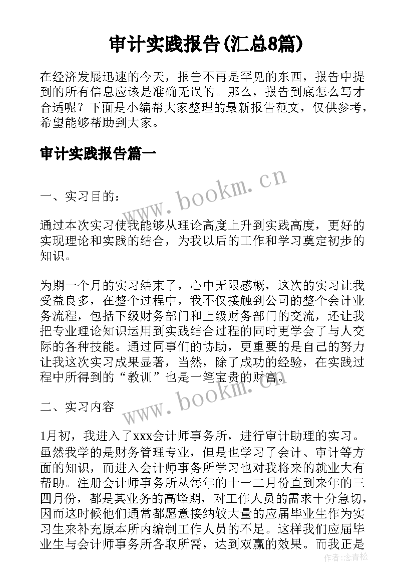 审计实践报告(汇总8篇)