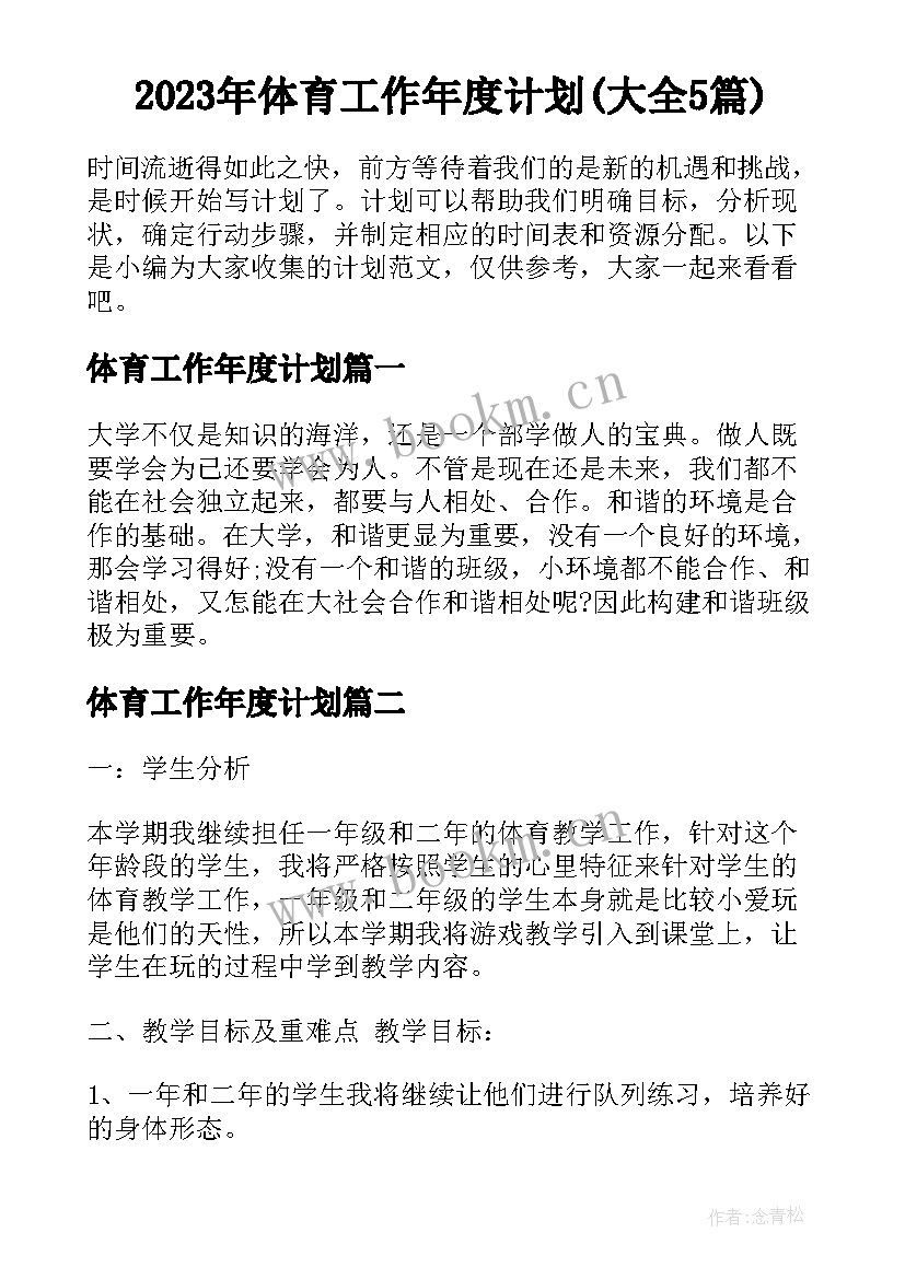 2023年体育工作年度计划(大全5篇)