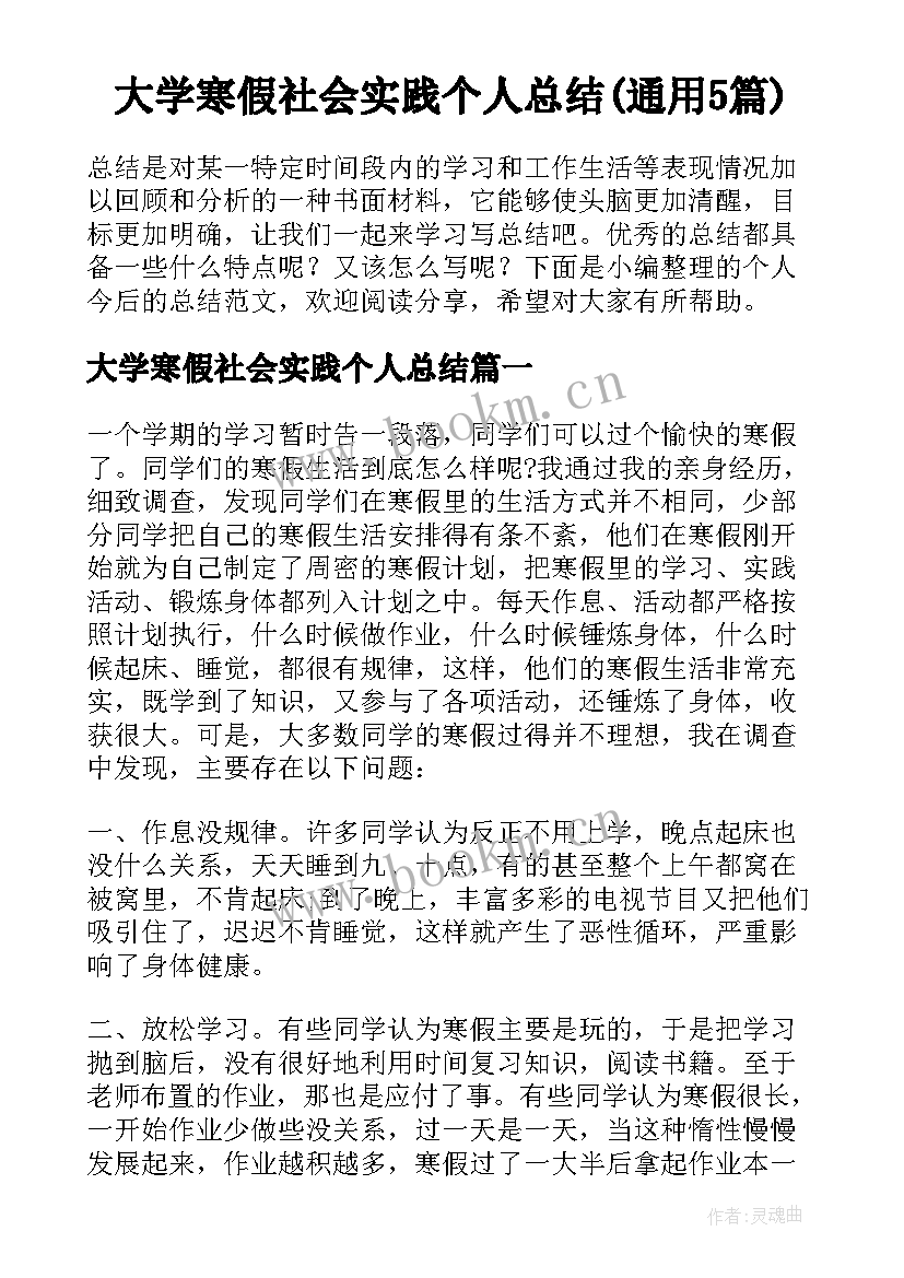 大学寒假社会实践个人总结(通用5篇)