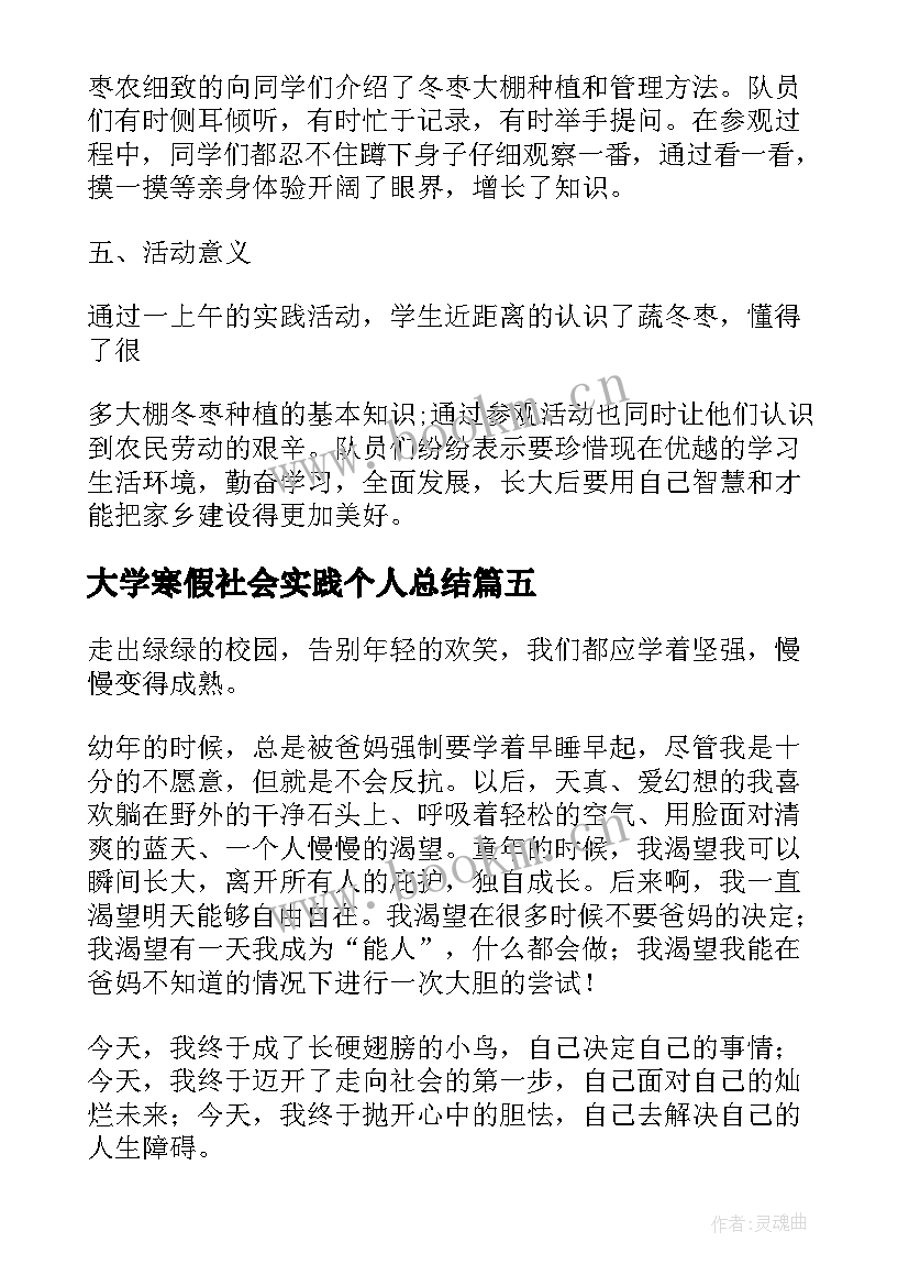 大学寒假社会实践个人总结(通用5篇)