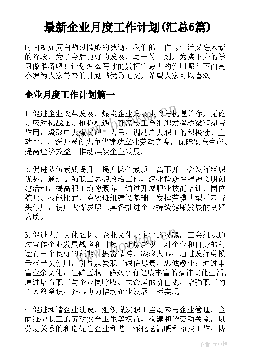 最新企业月度工作计划(汇总5篇)