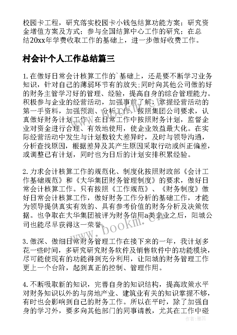 2023年村会计个人工作总结(模板8篇)