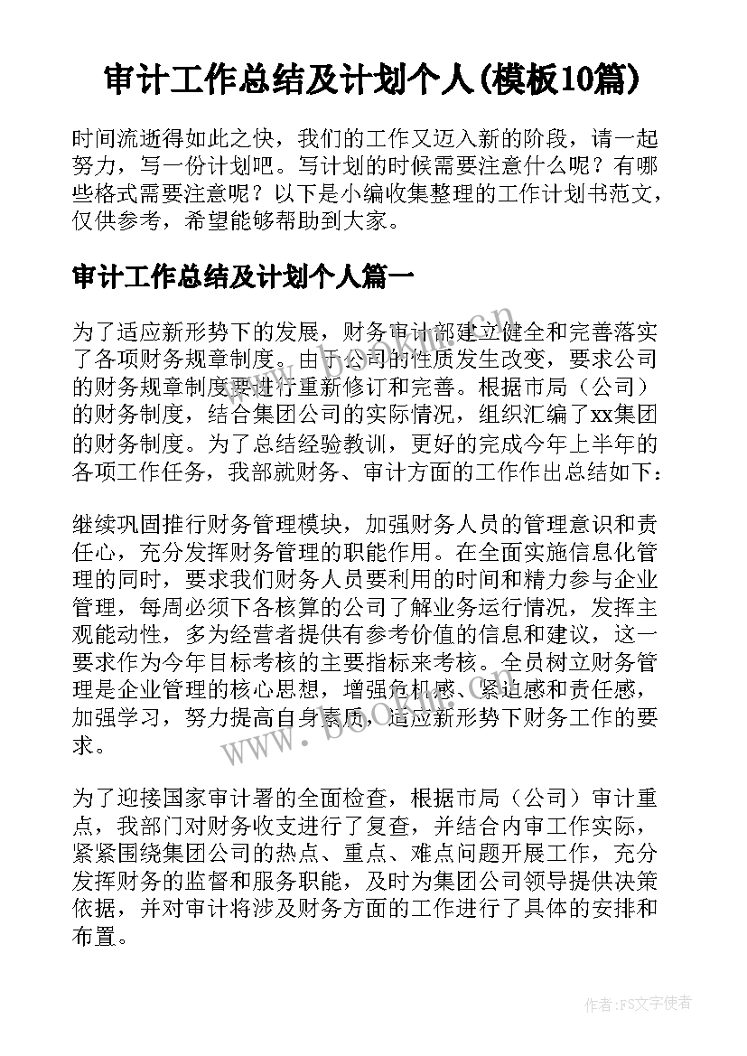 审计工作总结及计划个人(模板10篇)