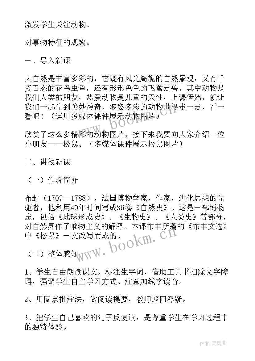 最新松鼠说课稿一等奖(模板8篇)