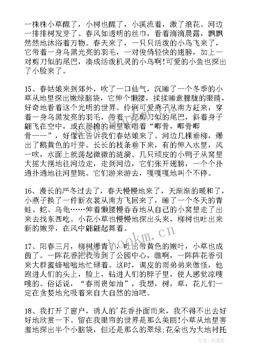 清明节的手抄报简单又漂亮 清明节手抄报漂亮简单(汇总7篇)