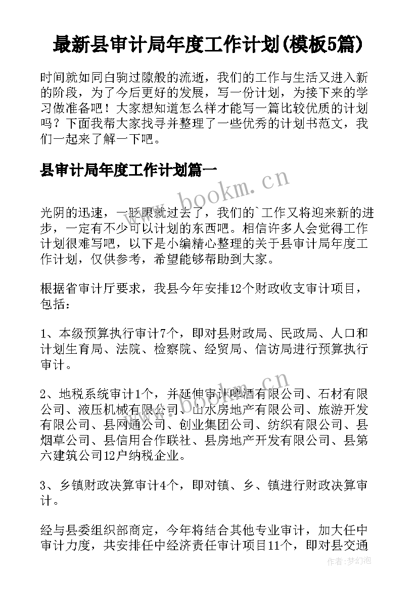 最新县审计局年度工作计划(模板5篇)