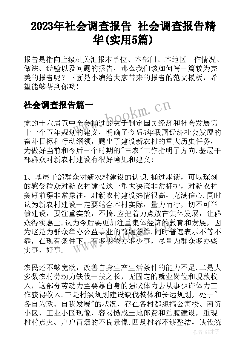 2023年社会调查报告 社会调查报告精华(实用5篇)