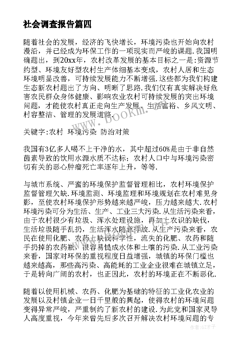 2023年社会调查报告 社会调查报告精华(实用5篇)