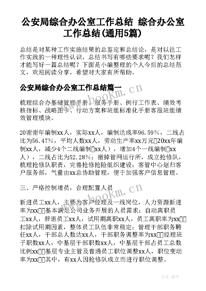 公安局综合办公室工作总结 综合办公室工作总结(通用5篇)