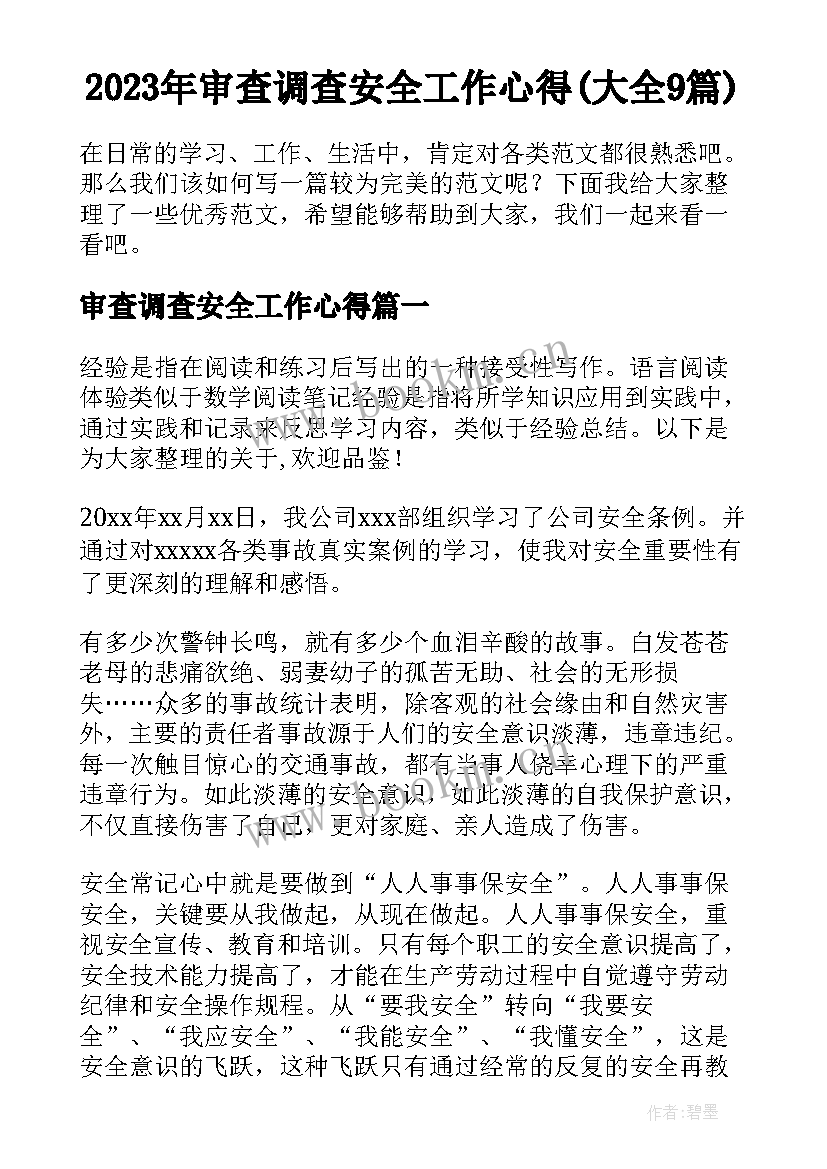 2023年审查调查安全工作心得(大全9篇)