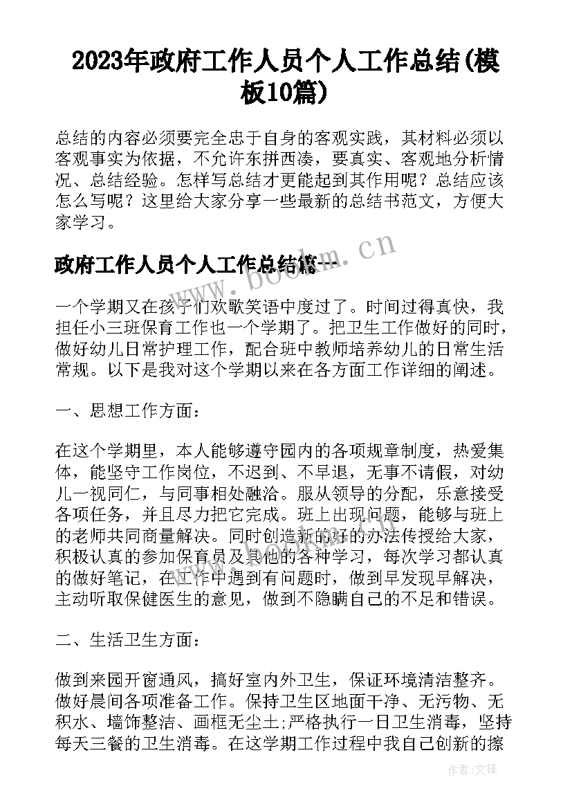 2023年政府工作人员个人工作总结(模板10篇)