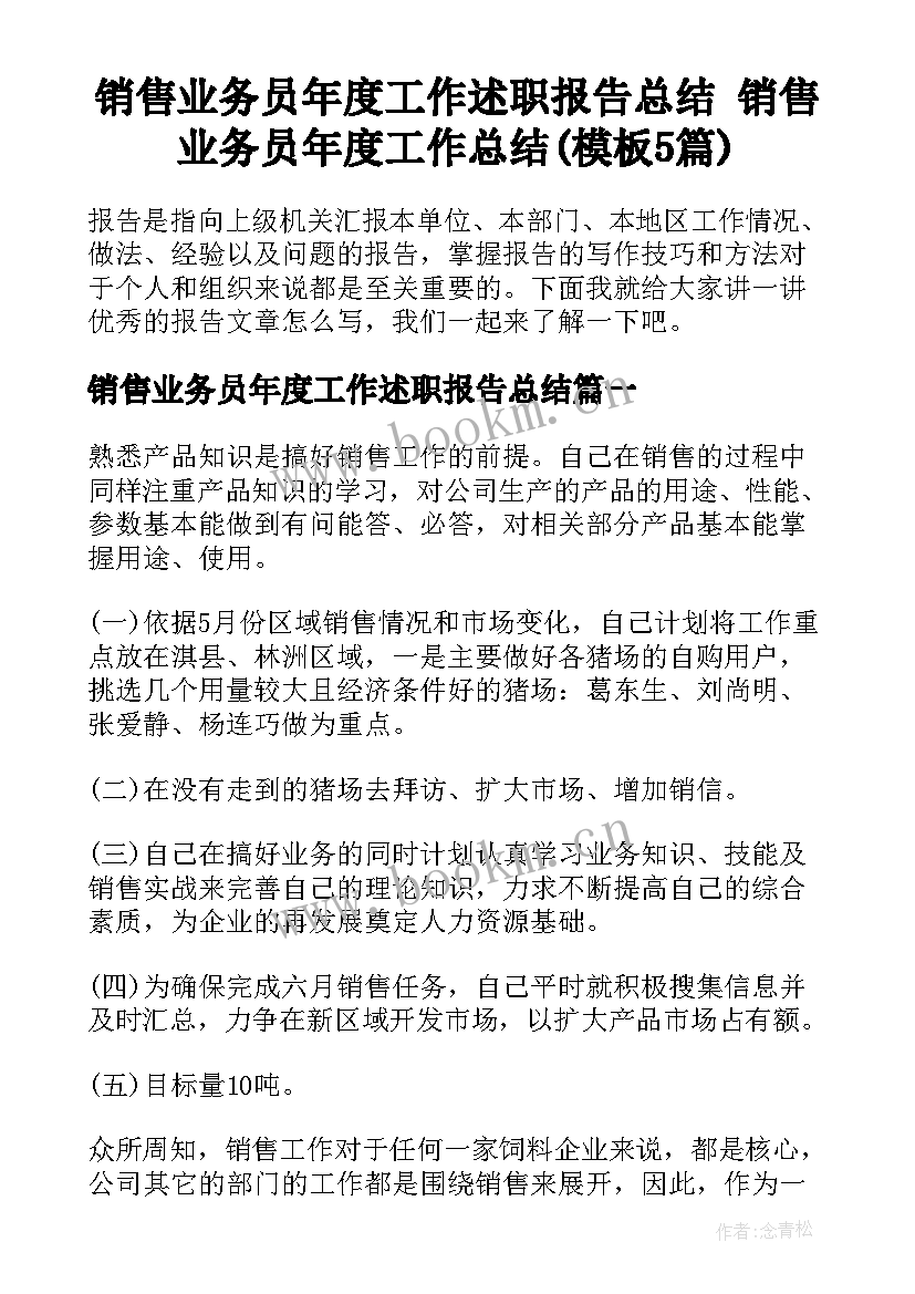 销售业务员年度工作述职报告总结 销售业务员年度工作总结(模板5篇)